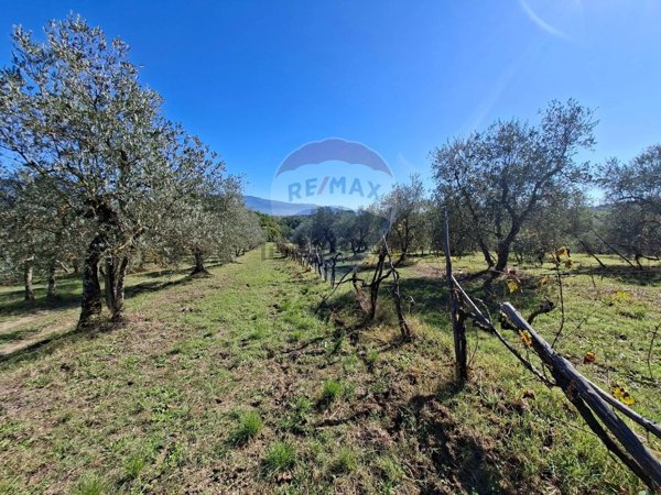 terreno agricolo in vendita a Figline e Incisa Valdarno