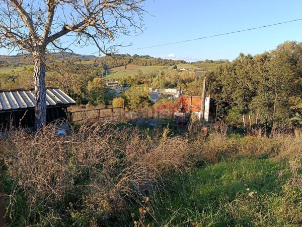terreno agricolo in vendita a Figline e Incisa Valdarno in zona Palazzolo