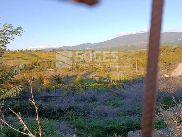 terreno agricolo in vendita a Figline e Incisa Valdarno in zona Palazzolo