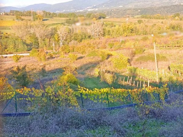 terreno agricolo a Figline e Incisa Valdarno in zona Incisa in Val d'Arno