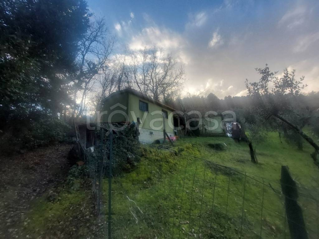 terreno agricolo a Figline e Incisa Valdarno in zona Ponte agli Stolli