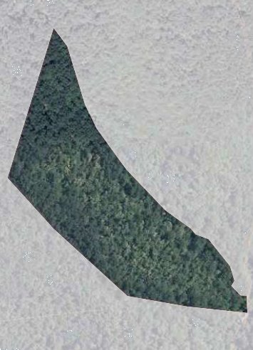 terreno agricolo in vendita a Figline e Incisa Valdarno in zona Figline Valdarno