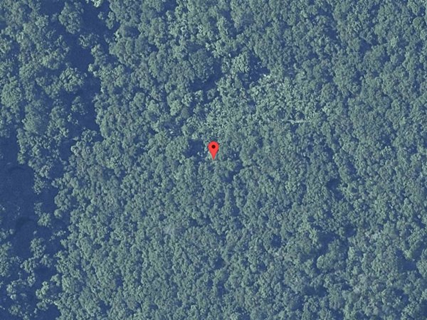 terreno agricolo in vendita a Figline e Incisa Valdarno