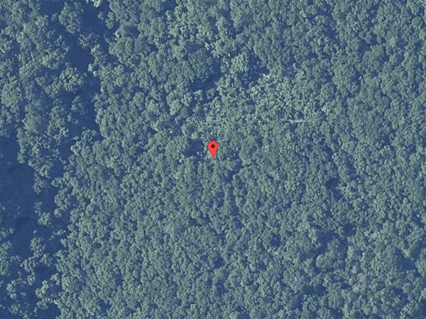 terreno agricolo in vendita a Figline e Incisa Valdarno