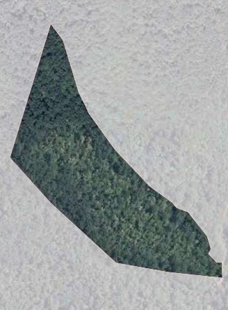 terreno agricolo in vendita a Figline e Incisa Valdarno in zona Figline Valdarno