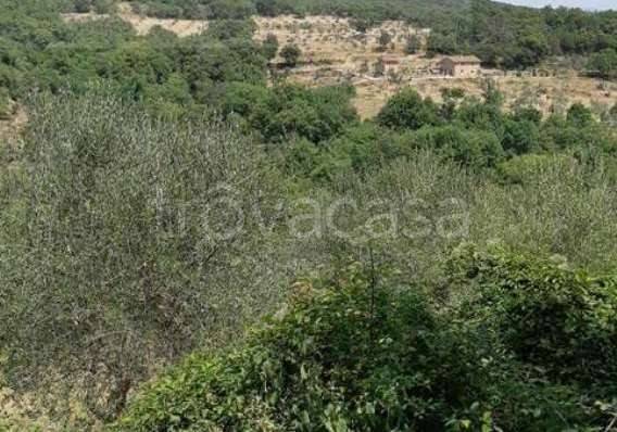 appartamento in vendita a Figline e Incisa Valdarno