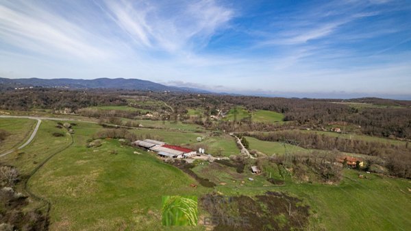 azienda agricola in vendita a Figline e Incisa Valdarno