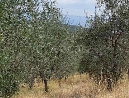 appartamento in vendita a Figline e Incisa Valdarno