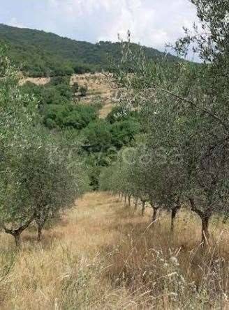 appartamento in vendita a Figline e Incisa Valdarno