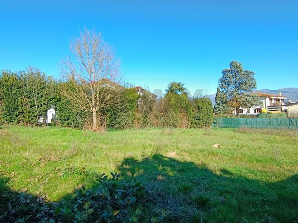 terreno agricolo in vendita a Figline e Incisa Valdarno in zona Cesto