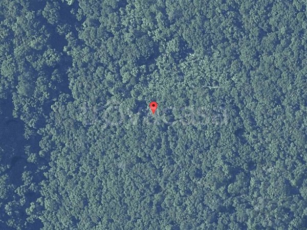 appartamento in vendita a Figline e Incisa Valdarno