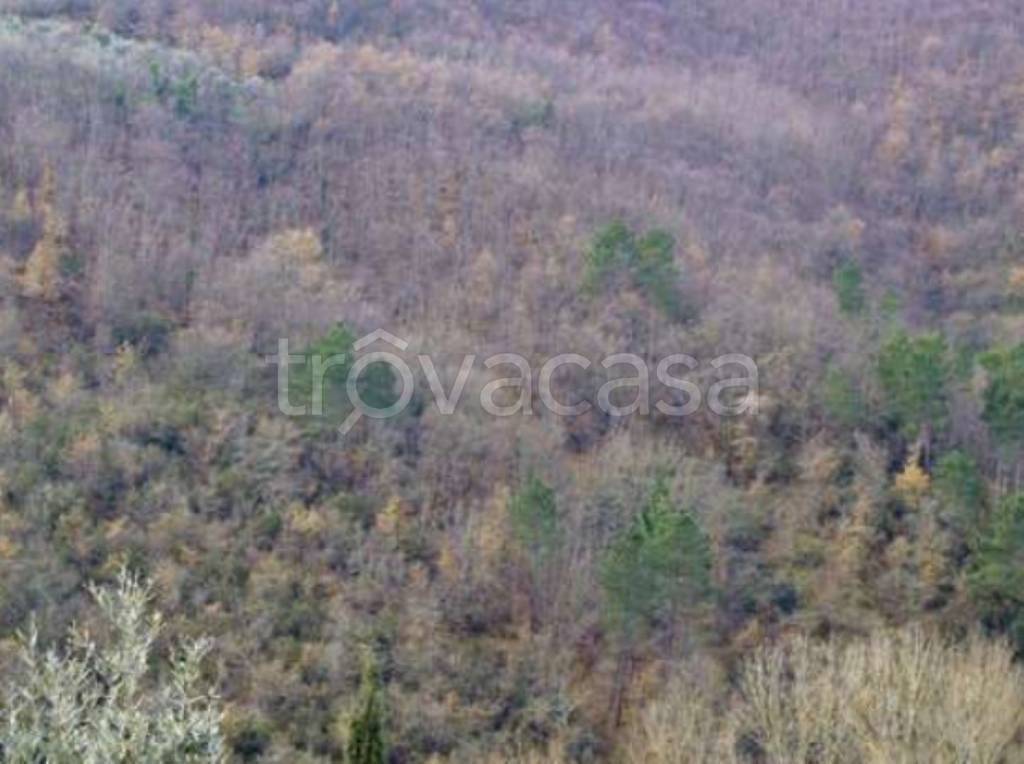 terreno agricolo in vendita a Figline e Incisa Valdarno in zona Figline Valdarno