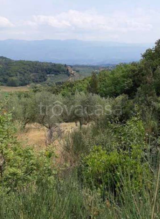 terreno agricolo in vendita a Figline e Incisa Valdarno in zona Figline Valdarno