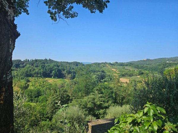 terreno agricolo in vendita a Figline e Incisa Valdarno