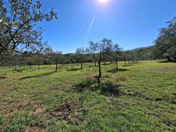 terreno agricolo in vendita a Figline e Incisa Valdarno in zona Loppiano
