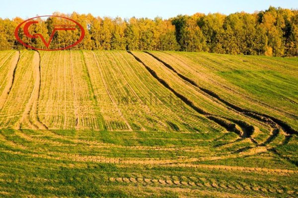 terreno agricolo in vendita a Figline e Incisa Valdarno in zona Brollo