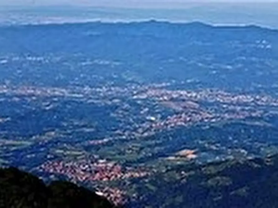 terreno agricolo in vendita a Figline e Incisa Valdarno in zona Cesto