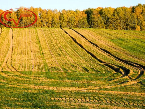 terreno agricolo in vendita a Figline e Incisa Valdarno