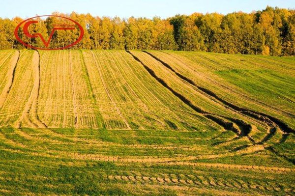 terreno agricolo in vendita a Figline e Incisa Valdarno in zona Loppiano