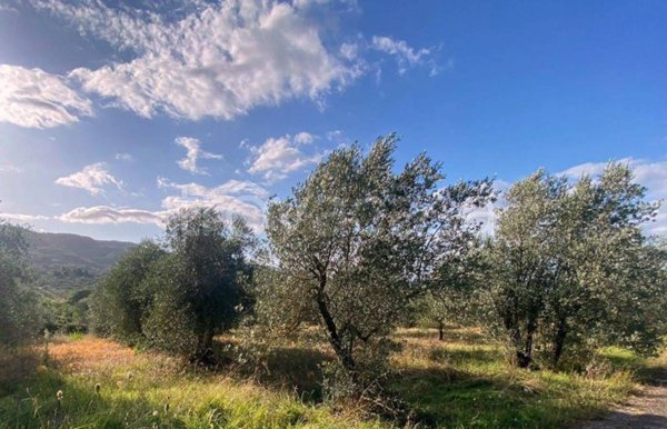 casa indipendente in vendita a Figline e Incisa Valdarno