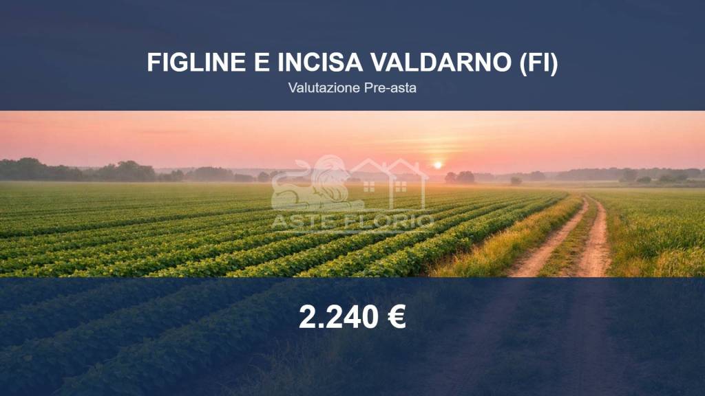 terreno agricolo in vendita a Figline e Incisa Valdarno