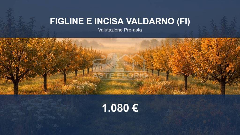 terreno agricolo in vendita a Figline e Incisa Valdarno in zona Massa