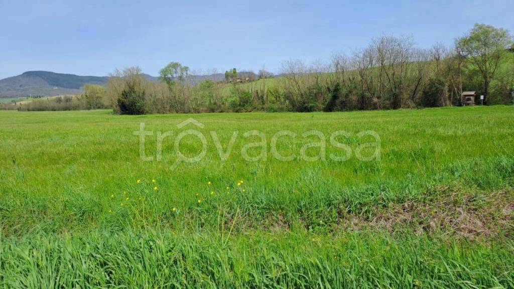 terreno agricolo in vendita a Scarperia e San Piero in zona Scarperia