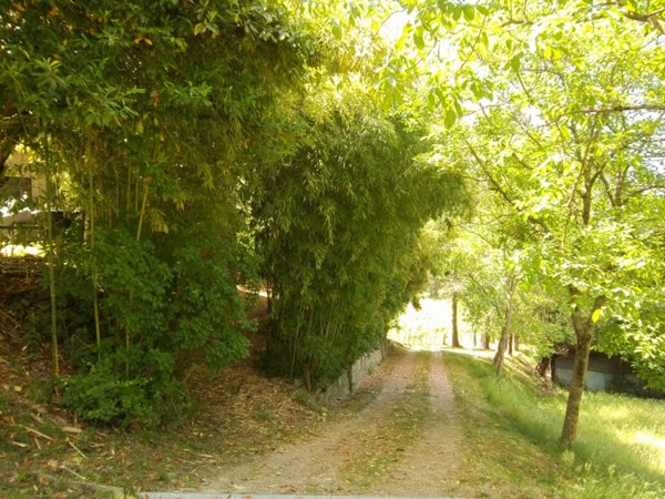 azienda agricola in vendita a Scarperia e San Piero in zona Scarperia