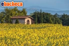 appartamento in vendita a Scarperia e San Piero in zona San Piero a Sieve