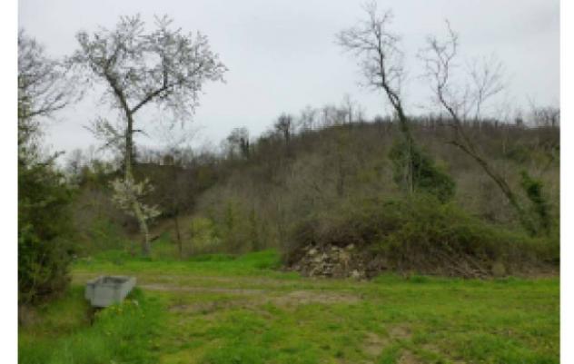 terreno agricolo in vendita a Scarperia e San Piero in zona Scarperia