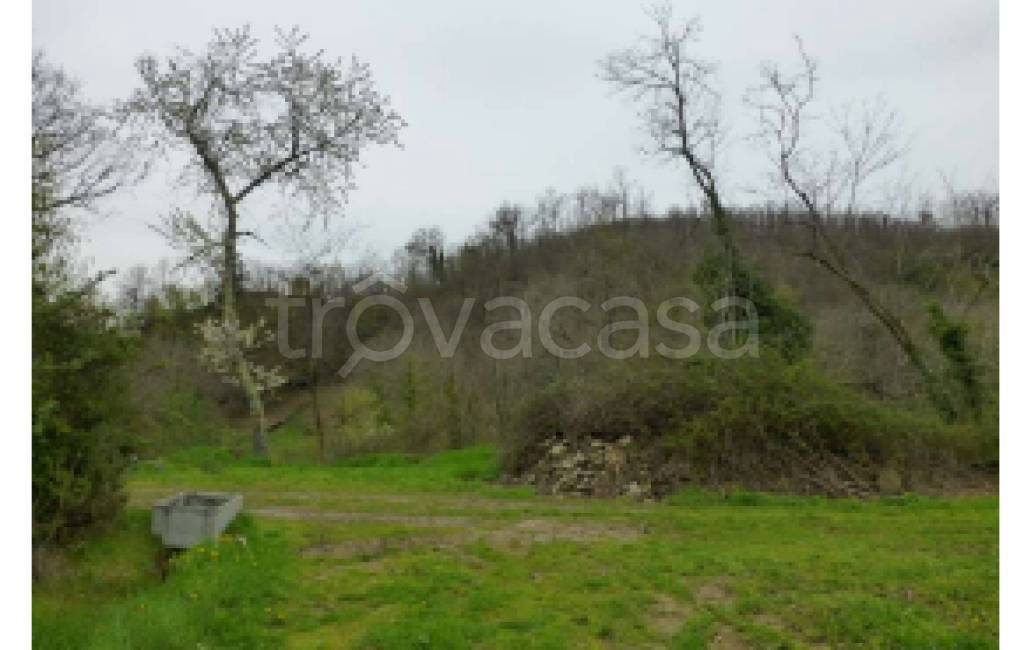 terreno agricolo in vendita a Scarperia e San Piero in zona Scarperia