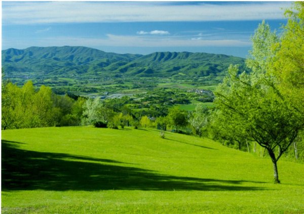terreno agricolo in vendita a Scarperia e San Piero