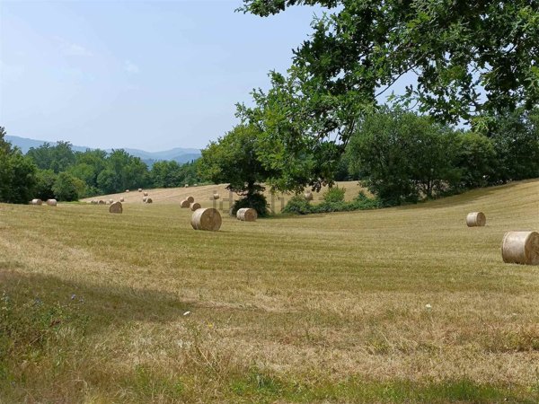 casale in vendita a Scarperia e San Piero in zona Scarperia