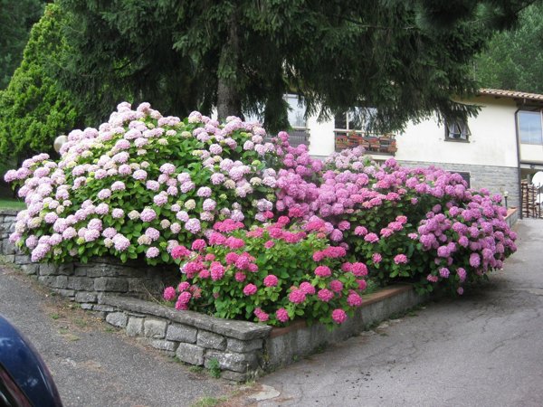 appartamento in vendita a Scarperia e San Piero