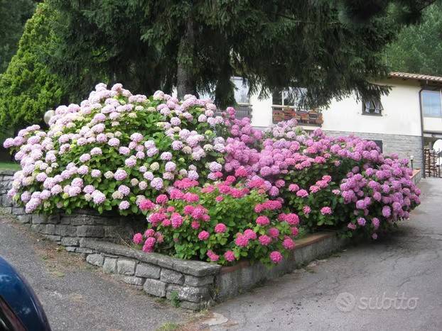 appartamento in vendita a Scarperia e San Piero