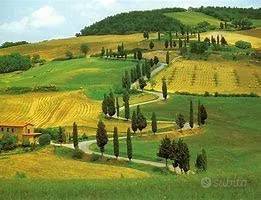 negozio in vendita a Scarperia e San Piero