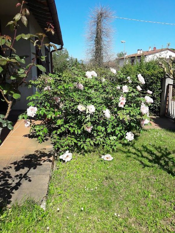 casa indipendente in vendita a Scarperia e San Piero in zona Scarperia