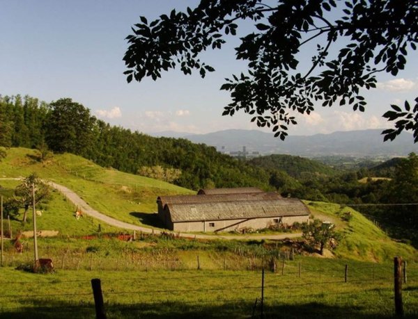 azienda agricola in vendita a Scarperia e San Piero in zona Ponzalla