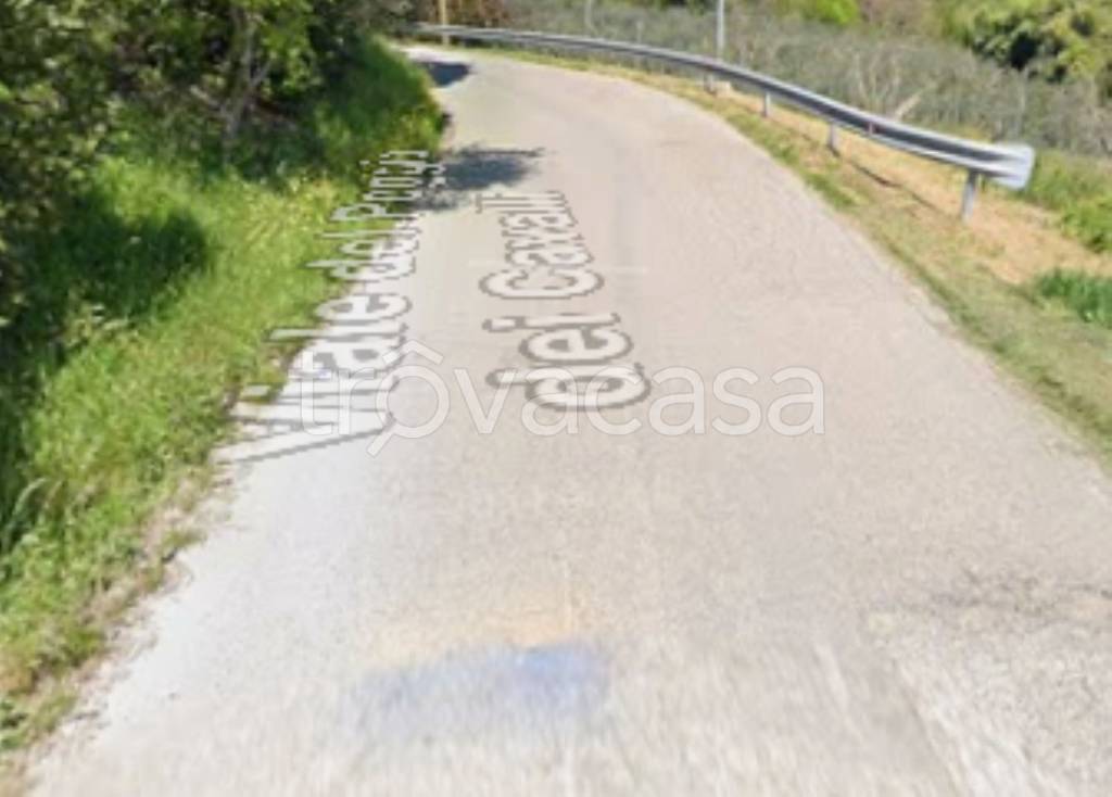 terreno agricolo in vendita a Scarperia e San Piero