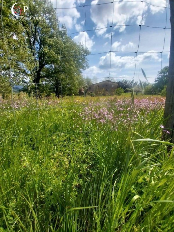 quadrivano in vendita a Scarperia e San Piero in zona Scarperia
