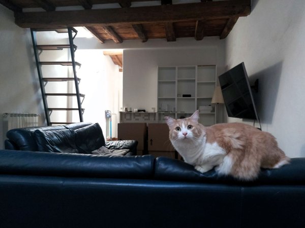 appartamento in vendita a Scarperia e San Piero in zona Scarperia