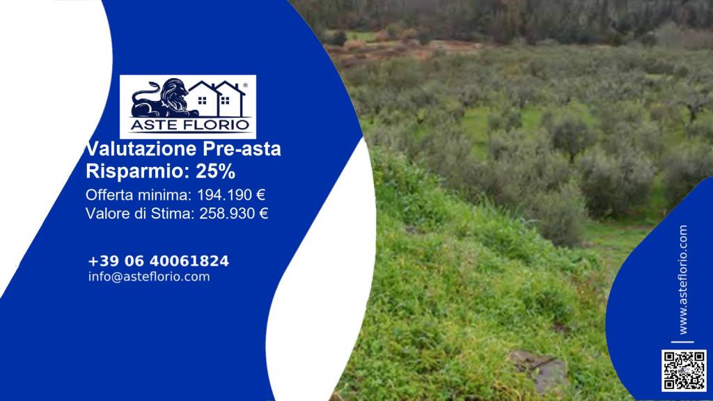 terreno agricolo in vendita a Scarperia e San Piero