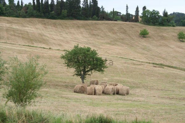 casa indipendente in vendita a Scarperia e San Piero in zona San Piero a Sieve