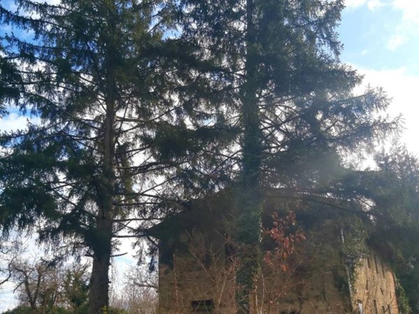 casa indipendente in vendita a Scarperia e San Piero in zona San Piero a Sieve