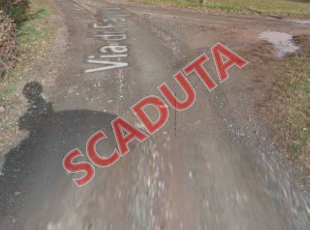 immagine annuncio 0 di 10