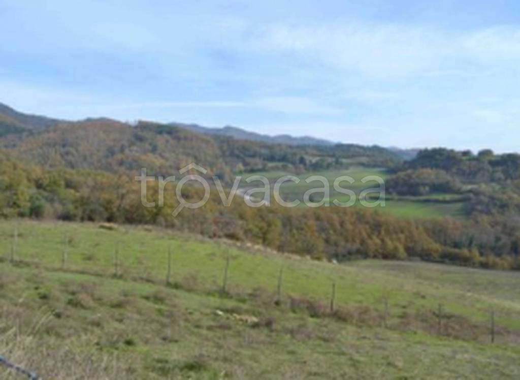 terreno agricolo in vendita a Scarperia e San Piero