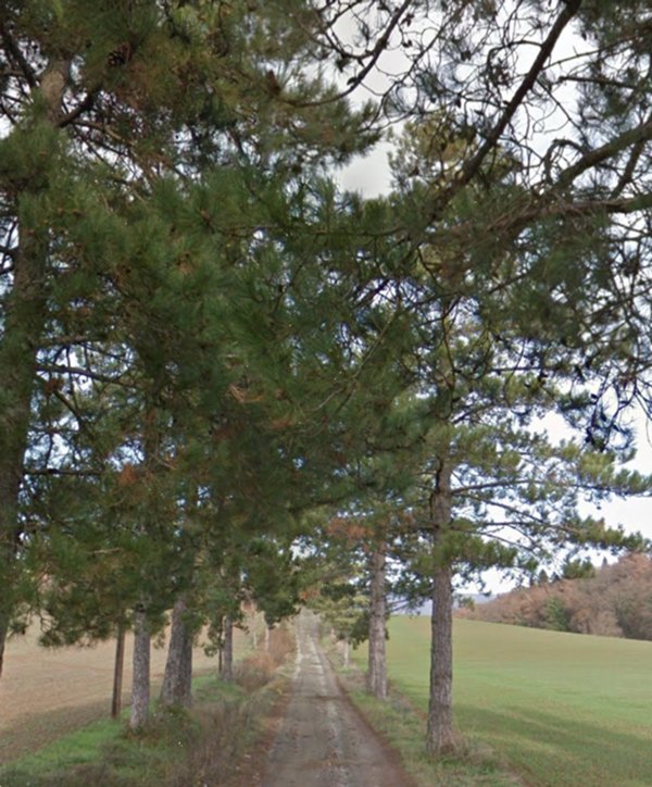 terreno agricolo in vendita a Scarperia e San Piero