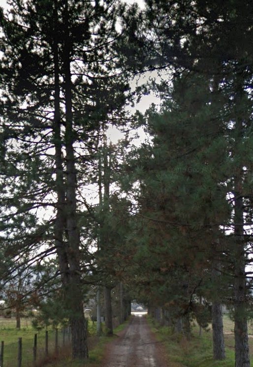 terreno agricolo in vendita a Scarperia e San Piero