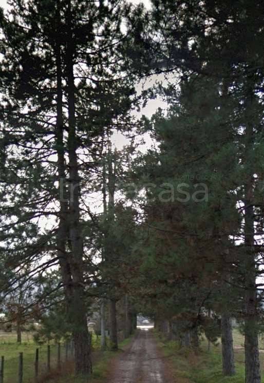 appartamento in vendita a Scarperia e San Piero