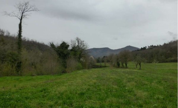 terreno agricolo in vendita a Scarperia e San Piero